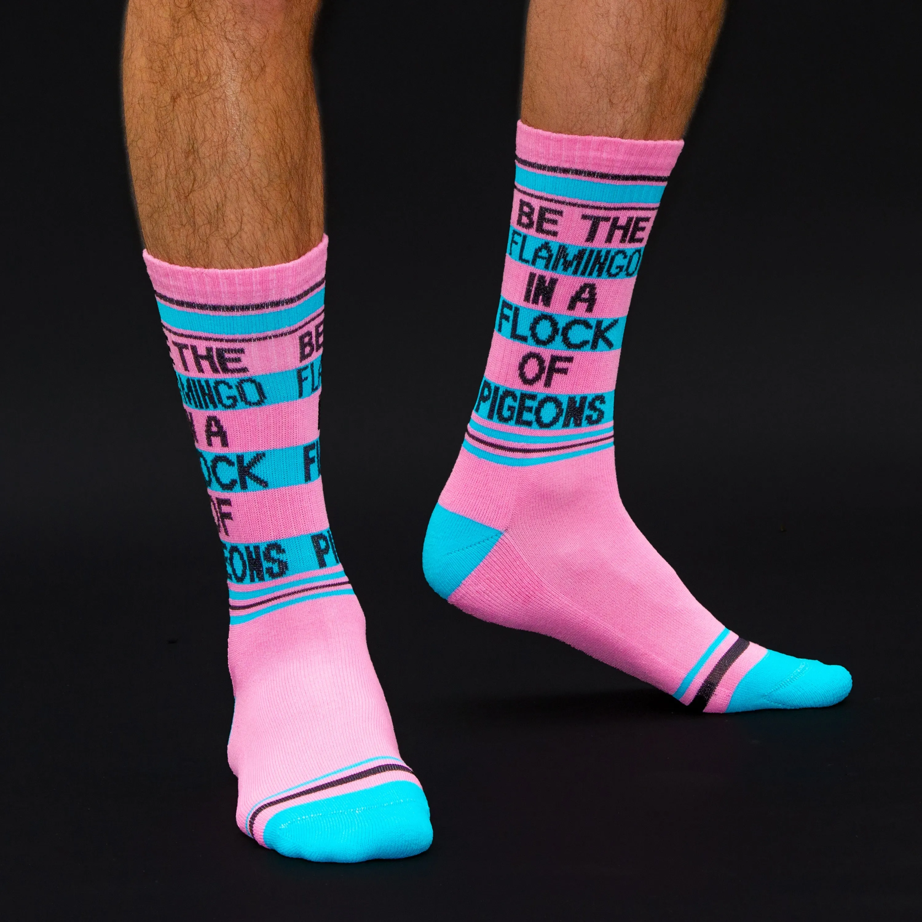 Be The Flamingo in the Flock of Pigeons